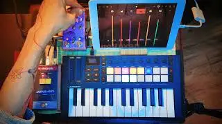 FALL OR FLY - TONbO_WAvE: Launchkey mini Mk4 Groovebox - Ipad Chasse Bliss Mood MkII Chorus Juno 60