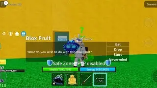 The Entire Roblox Blox Fruits Experience In 5 Minutes