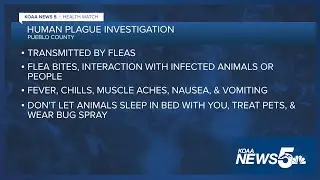 Pueblo health officials investigating human plague case in the county