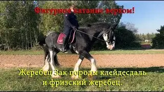 Фигурное катание верхом.)