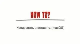 Копировать и вставить текст (macOS)