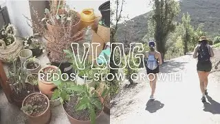 VLOG | garden clean, green smoothies, new projects, + hiking