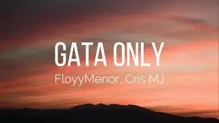 FloyyMenor - GATA ONLY (Lyrics) ft. Cris MJ