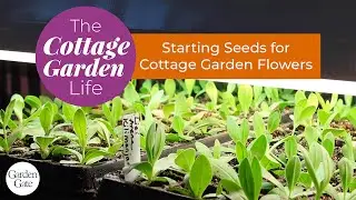 The Cottage Garden Life | Bochner Farms | 🌱 Starting Seeds for Cottage Garden Flowers #cottagegarden