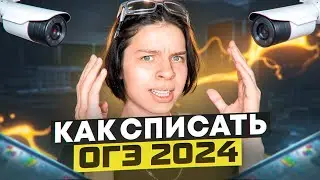 КАК СПИСАТЬ НА ОГЭ? КАК НАЙТИ СВОЙ ВАРИАНТ? КАК СДАТЬ ОГЭ 2024? ГДЕ НАЙТИ ОТВЕТЫ?