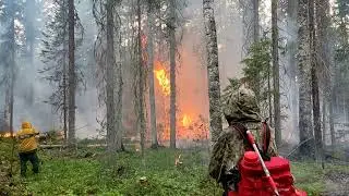 Видео о том как Андрей на тушение лесных пожаров ездил