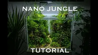 Aquascaping tutorial - AMAZING High-tech NANO JUNGLE tank