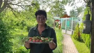 Говядина на костре с сибирским акцентом!