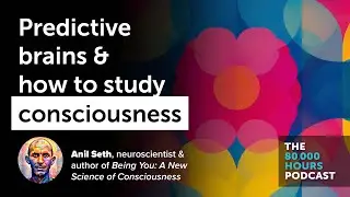 The predictive brain & the quest to understand consciousness | Anil Seth