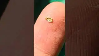 I found the gold!