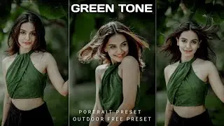 Portrait Green preset | How to download lightroom preset | lightroom preset | Green preset |