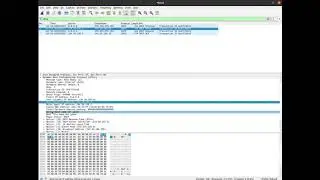 Wireshark DHCP traffic