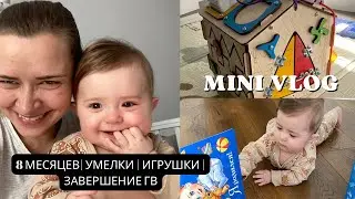 8 МЕСЯЦЕВ | УМЕЛКИ | ИГРУШКИ| ЗАВЕРШЕНИЕ ГВ