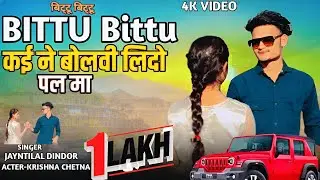 बिट्टू बिट्टू कई ने मने बोलवी लिदो जानू | Jayntilal Dindor | Krishna Bamniya New Video