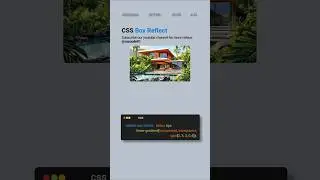 CSS Tips and Tricks: Box Reflect 🔥🔥 #css #coding #shorts #webdesign #html #cssshorts #viral #video