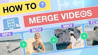 How to Merge Video Files into One on Windows 10/11 and Mac