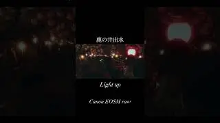 Cherry blossom light up Canon EOSM #eosm #uppbeat #cropmood