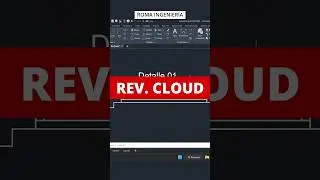 REVISION CLOUD 