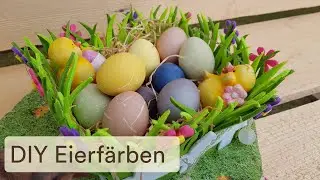 DIY selbstgefärbte Ostereier mit Farben aus der Natur