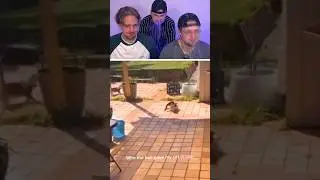Try not to Laugh ❗ | 311 