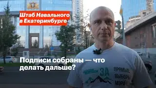 Подписи собраны — что делать дальше?