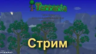 Стрим по Terraria