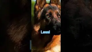Köpek isimleri 🌸