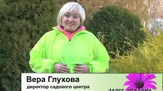 Обрезка растений в ноябре