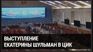 Выборы: три точки слома. Выступление в ЦИК РФ