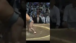 Бой гигантов Осёма VS Котосёхо Нагоя Басё 2024 #japan #sumo #sport #сумо #япония #мма #mma #ufc