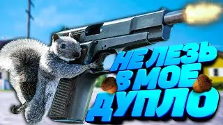 НЕ ЛЕЗЬ В МОЕ ДУПЛО 🌰 СИМУЛЯТОР БЕЛКИ С ОРУЖИЕМ Squirrel With A Gun