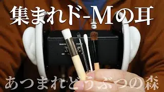 [ASMR] ビクともしない耳をゾクゾクさせる高速耳かき (No Talking) [音フェチ]