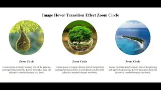 Image Hover Transition Effect Zoom Circle & also Responsive using only HTML & CSS - SFC