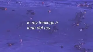 in my feelings || lana del rey lyrics