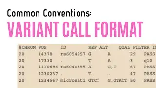 Variant Call Format | Common Conventions