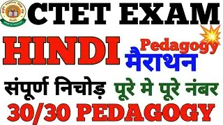 CTET 2021-22 | HINDI PEDAGOGY का बाप मैराथन | HINDI PEDAGOGY