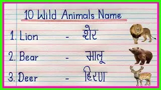 10 Wild Animals Name | 10 Wild Animals Name in English and Hindi | जंगली जानवरों के नाम |