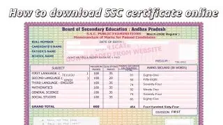 How to download the SSC certificate online