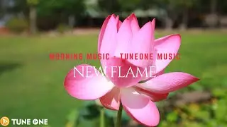 New Flame - Classical music - Piano Relaxing Music - Gilberto Cristen Hamisu