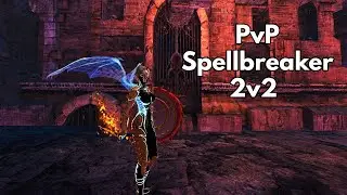 Guild Wars 2 PvP - Spellbreaker - 2v2