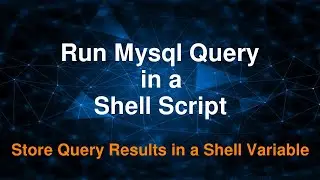 Run Mysql Query using a Shell Script