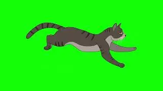 cat | green screen cat video | green screen vfx | Green screen videos | Cat cartoon