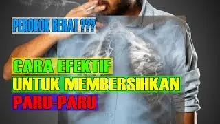 KAMU PEROKOK BERAT? 5 CARA EFEKTIF MEMBERSIHKAN PARU-PARU