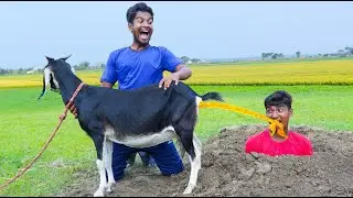 Must Watch New Special Comedy Video 2024 😎Totally Amazing Comedy Episode  25 by @mamafunltd