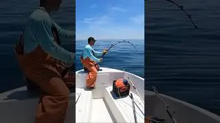 Bluefin Tuna Snaps our Rod in Half #shorts #fishing