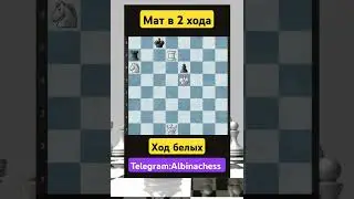 Telegram: Albinachess #chess #шахматы #chorts