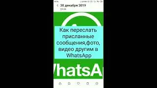 Как переслать присланные сообщения,фото, видео другим в WhatsApp(Ватсапп)