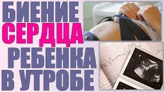 Брадикардия у плода на ранних и поздних сроках беременности