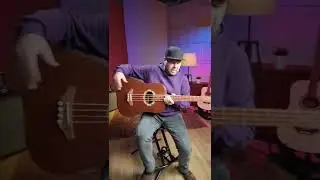 Как вам акустическая бас гитара  MiLena Music отечественного производства? 