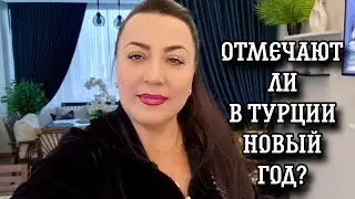 КАК МЫ ВСТРЕЧАЛИ НОВЫЙ ГОД В ПОЛЬШЕ./ОТМЕЧАЮТ ЛИ НОВЫЙ ГОД В ТУРЦИИ?..